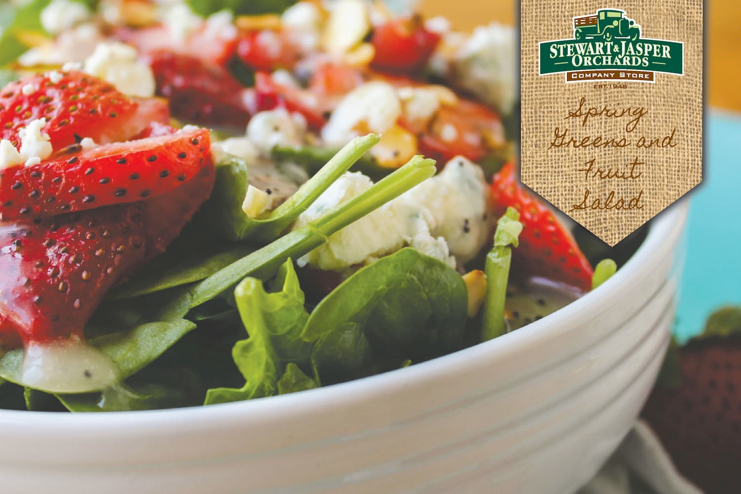 Spring Greens & Fruit Salad Stewart and Jasper